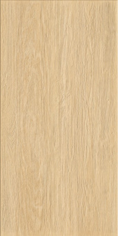 Аура Кл.Нордик 30X120 Рет Х2