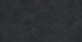 Керамогранит Rinascente Resin Tarmac 80x160 (610010005611) Керамогранит Rinascente Resin Tarmac 80x160 (610010005611)