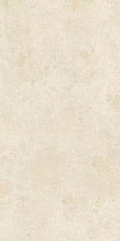 Stone Montpellier Matte Leather 60x120