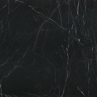 Керамогранит Roma Diamond 80X80 Nero Reale Brill. (fPXE) фото Керамогранит Roma Diamond 80X80 Nero Reale Brill. (fPXE)