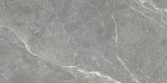 Керамогранит Titanium Gris