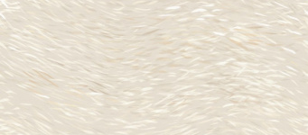 Керамогранит Vest Breath 120x278 - 6mm  