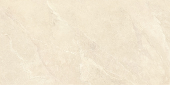 Ardestone Песочный Матовый R10a 60x120