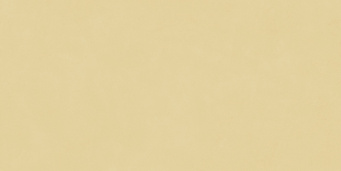 Blossom Sun Matt 60x120