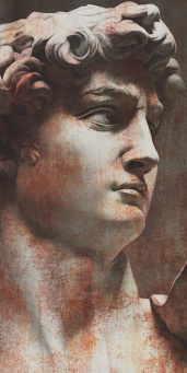 VT\A564\SG5918R Ковер Давид 1 матовый обрезной 119,5х238,5х1,1