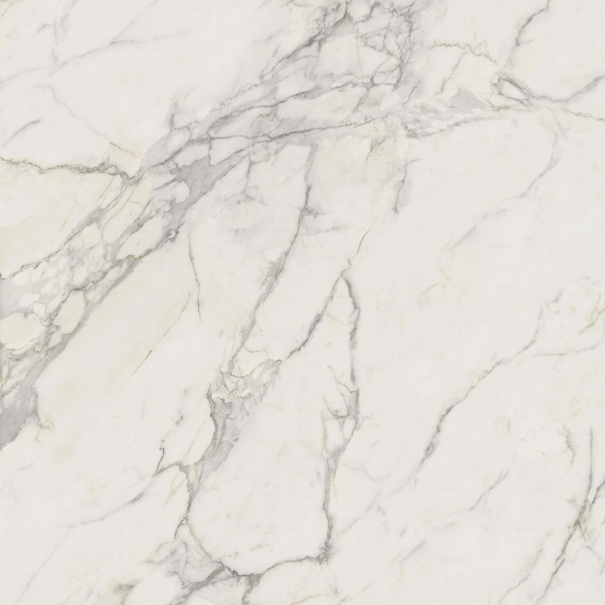 Керамогранит Marvel Calacatta Extra 120x120 (A20Y) Керамогранит Marvel Calacatta Extra 120x120 (A20Y)