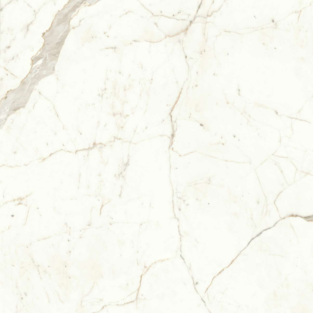 Керамогранит Marvel Calacatta Prestigio 120x120 Matt (A4Q5) Керамогранит Marvel Calacatta Prestigio 120x120 Matt (A4Q5)