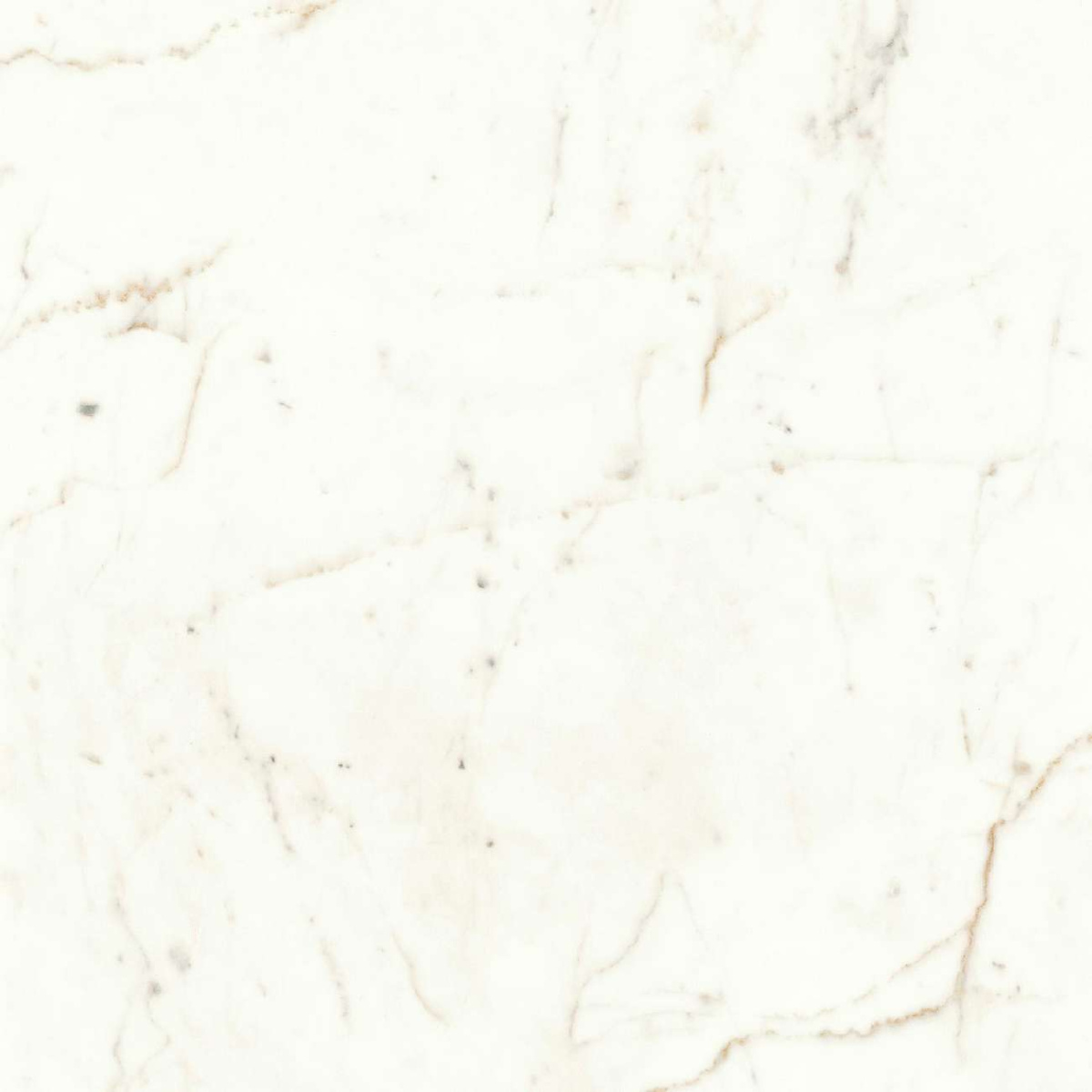 Керамогранит Marvel Calacatta Prestigio 60x60 Lappato (A4QT) Керамогранит Marvel Calacatta Prestigio 60x60 Lappato (A4QT)