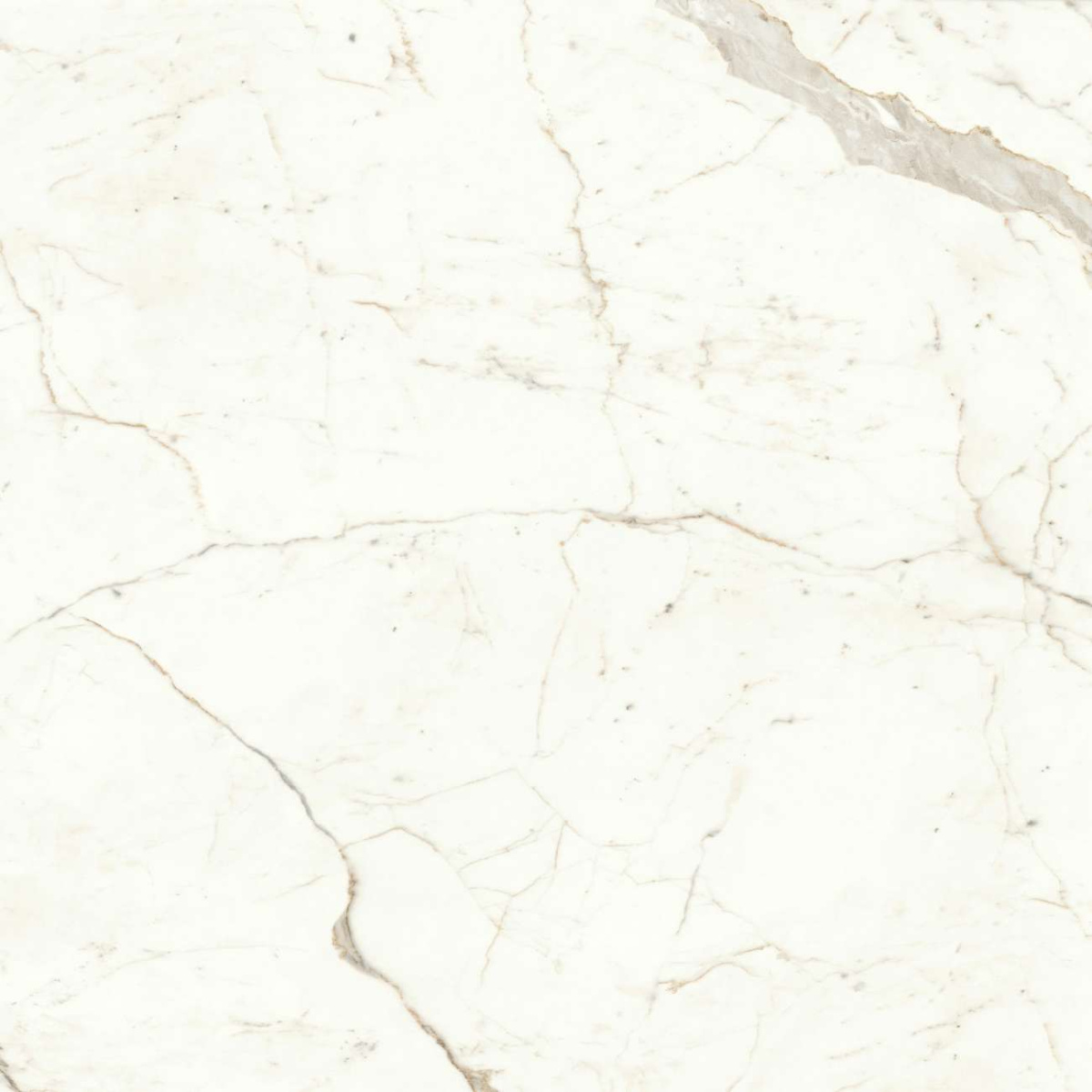 Керамогранит Marvel Calacatta Prestigio 160x160 Lappato (A4RP) Керамогранит Marvel Calacatta Prestigio 160x160 Lappato (A4RP)