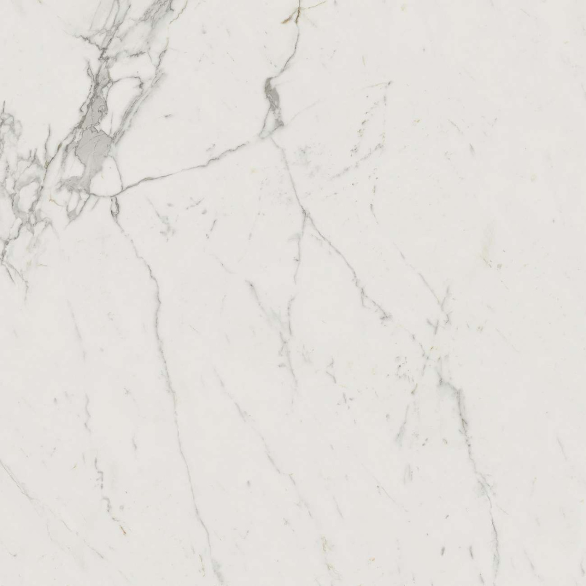Керамогранит Marvel Calacatta Extra 120x120 Lappato (AY2R) Керамогранит Marvel Calacatta Extra 120x120 Lappato (AY2R)