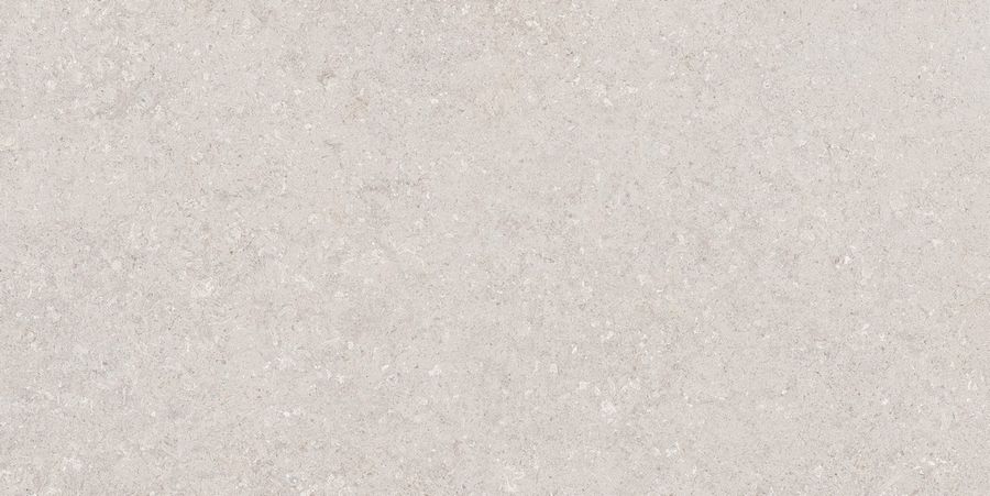 Venti Mushroom Matt 60x120 Venti Mushroom Matt 60x120
