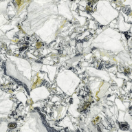 Керамогранит Forte Dei Marmi Quark Ceppo Ap. Forest Rett 80x80 (610010002971)