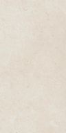Керамогранит Фоссил Пьюр 60x120 рет