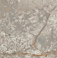 Спецэлемент Empire Silver Root Bottone Lap (610090002376) 