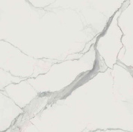 Керамогранит Rex Ceramiche I Classici Di Rex Statuario 6mm Soft 120x120
