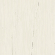 Керамогранит Marvel Bianco Dolomite 120x120 (A204) 
