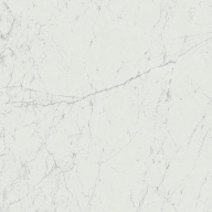 Керамогранит Marvel Carrara Pure 120x120 (A207) 
