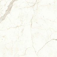 Керамогранит Marvel Calacatta Prestigio 120x120 Matt (A4Q5) Керамогранит Marvel Calacatta Prestigio 120x120 Matt (A4Q5)