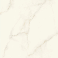 Керамогранит Marvel Calacatta Apuano120x120 Silk (AFVJ) 