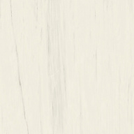 Керамогранит Marvel Bianco Dolomite 160x160RT Lappato (AO53) 