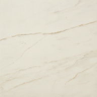 Керамогранит Marvel Cremo Delicato 60x60 (AVGD) 