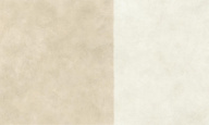 Керамогранит Boost Expression Duo Camel 120x278 - 6mm 