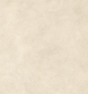 Керамогранит Boost Expression Shell 120x120 Grip 