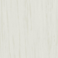 Керамогранит Marvel Bianco Dolomite 60x60 (AZQS) 