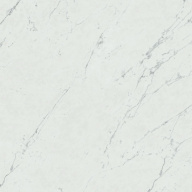 Керамогранит Marvel Carrara Pure 60x60 Lappato (AZRL) 