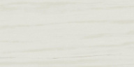 Керамогранит Marvel Bianco Dolomite 30x60 (D110) 