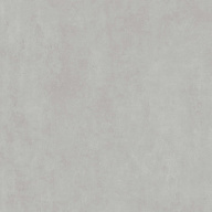 DD841190R Про Догана серый светлый матовый обрезной 80x80x0,9