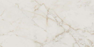 Керамогранит Roma Gold 60X120 Calacatta Delicato Brill (fPZ0)