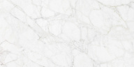 Carrara Giaola Polished 60x120