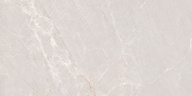 Persian Grey Matt 60x120