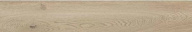Керамогранит ABK Poetry Wood Gold Nat R20x120