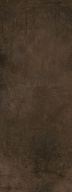 SG071100R Corten 119,5x320х11