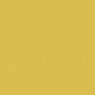 Керамогранит YC14 YourColor натуральная 80x80 желтый