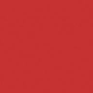 Керамогранит YC75 YourColor натуральная 60x60 красный
