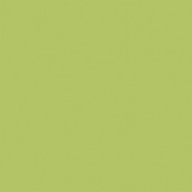 Керамогранит YC93 YourColor натуральная 60x60 зеленый